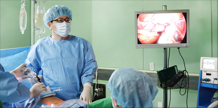 Gynecological Endoscopic Surgery